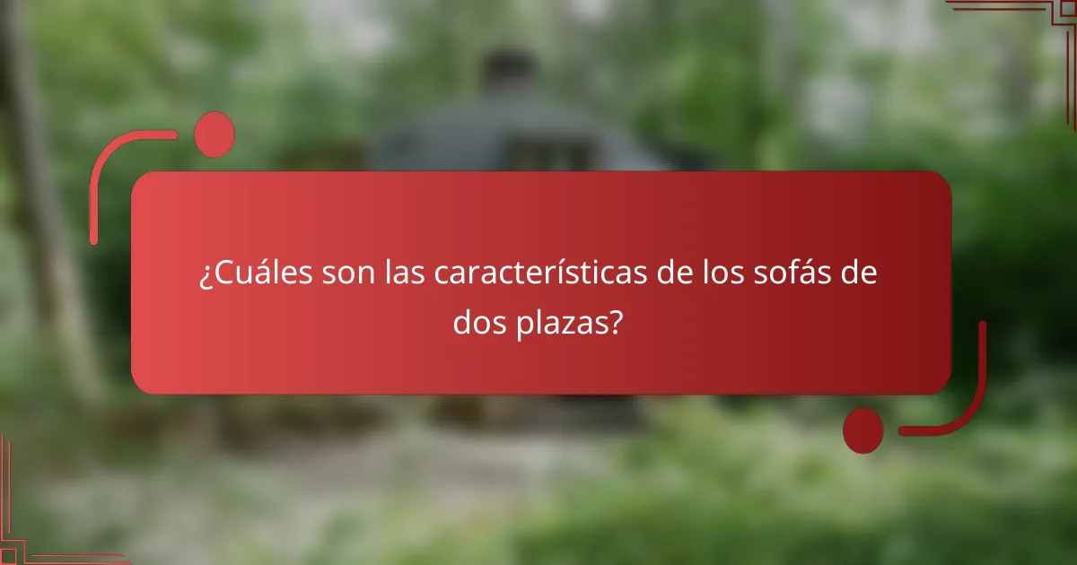 ¿Cuáles son las características de los sofás de dos plazas?