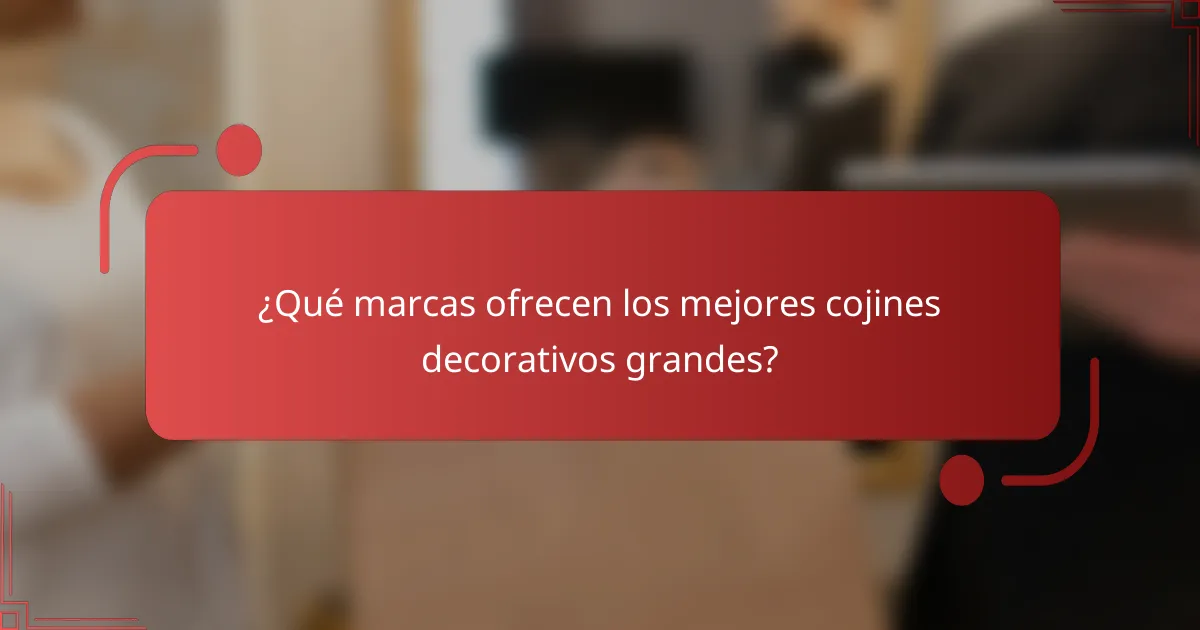 ¿Qué marcas ofrecen los mejores cojines decorativos grandes?