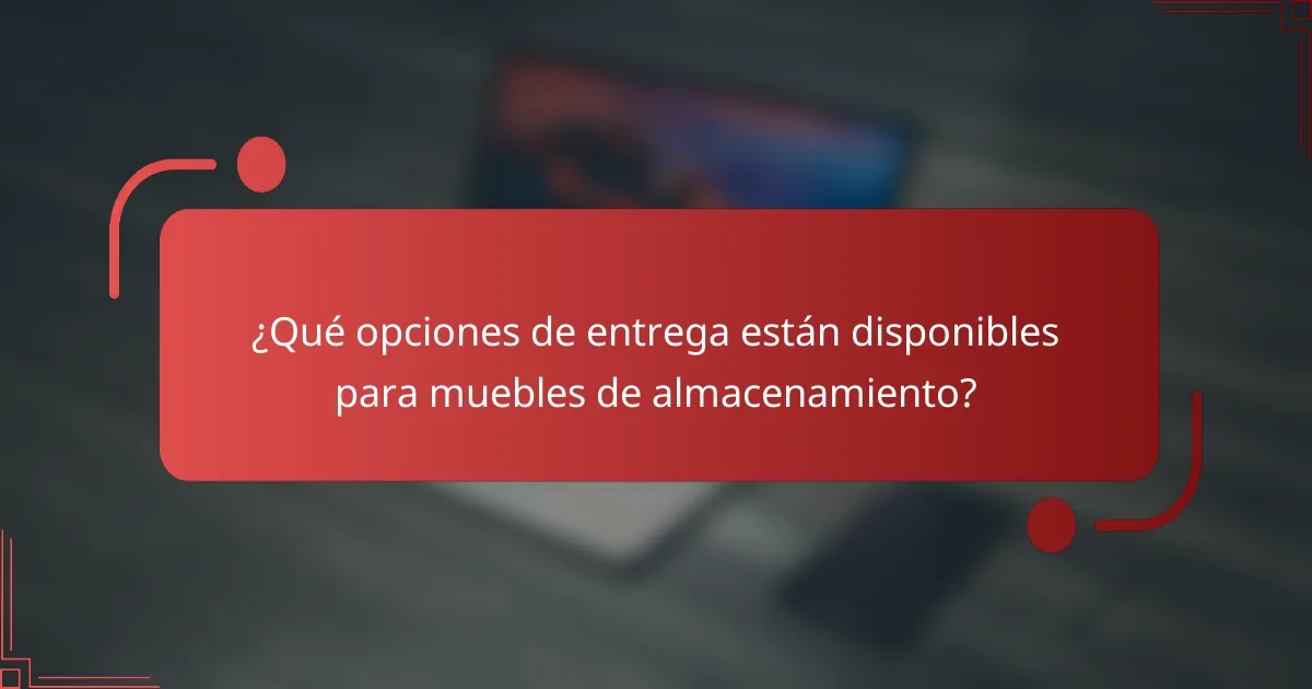 ¿Qué opciones de entrega están disponibles para muebles de almacenamiento?