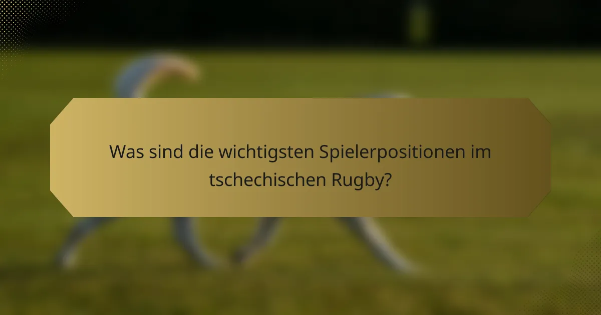 Was sind die wichtigsten Spielerpositionen im tschechischen Rugby?
