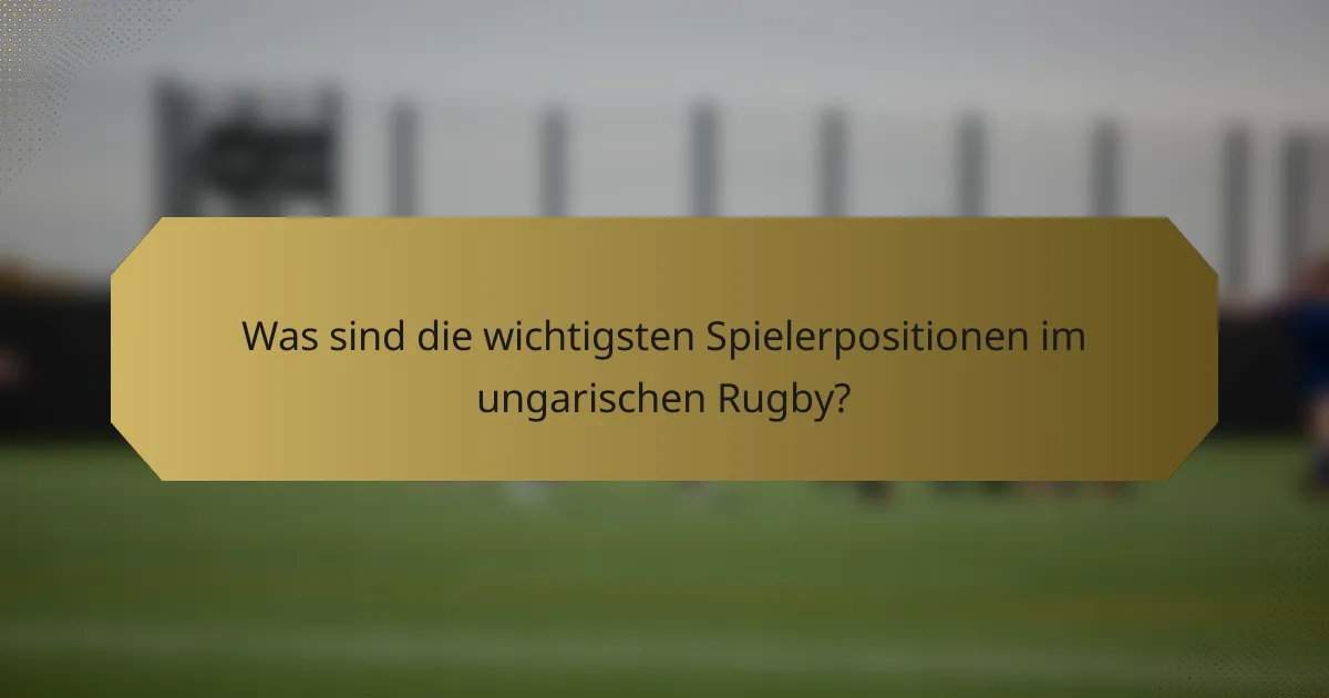 Was sind die wichtigsten Spielerpositionen im ungarischen Rugby?