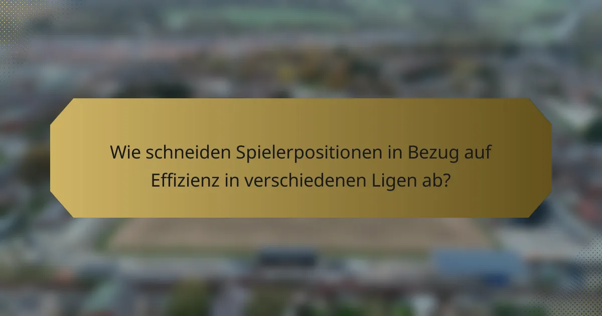Wie schneiden Spielerpositionen in Bezug auf Effizienz in verschiedenen Ligen ab?