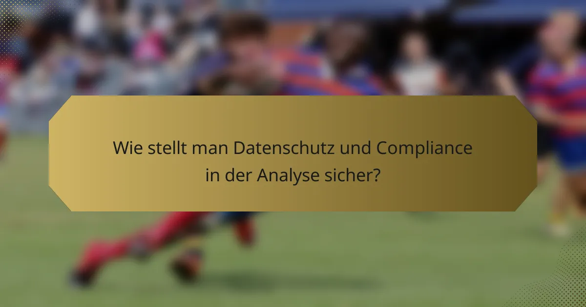 Wie stellt man Datenschutz und Compliance in der Analyse sicher?
